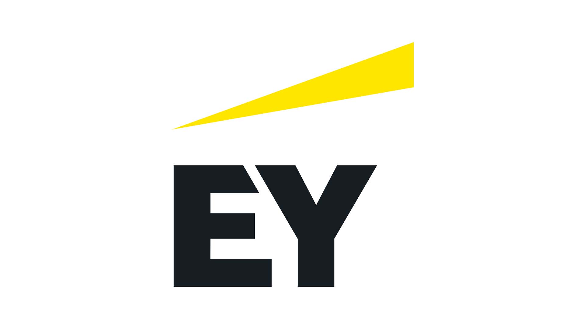 EY Corporate Solutions GmbH & Co. KG